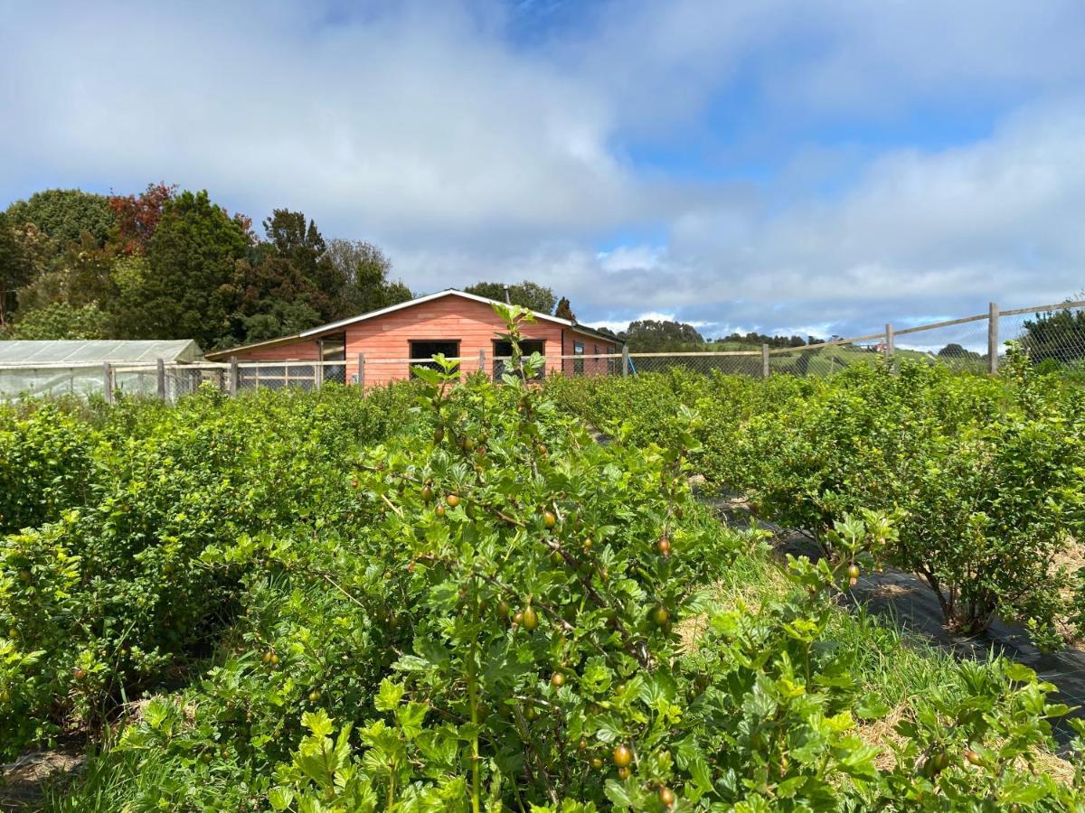 Cabana Nueva En Ancud Chiloe Kültér fotó