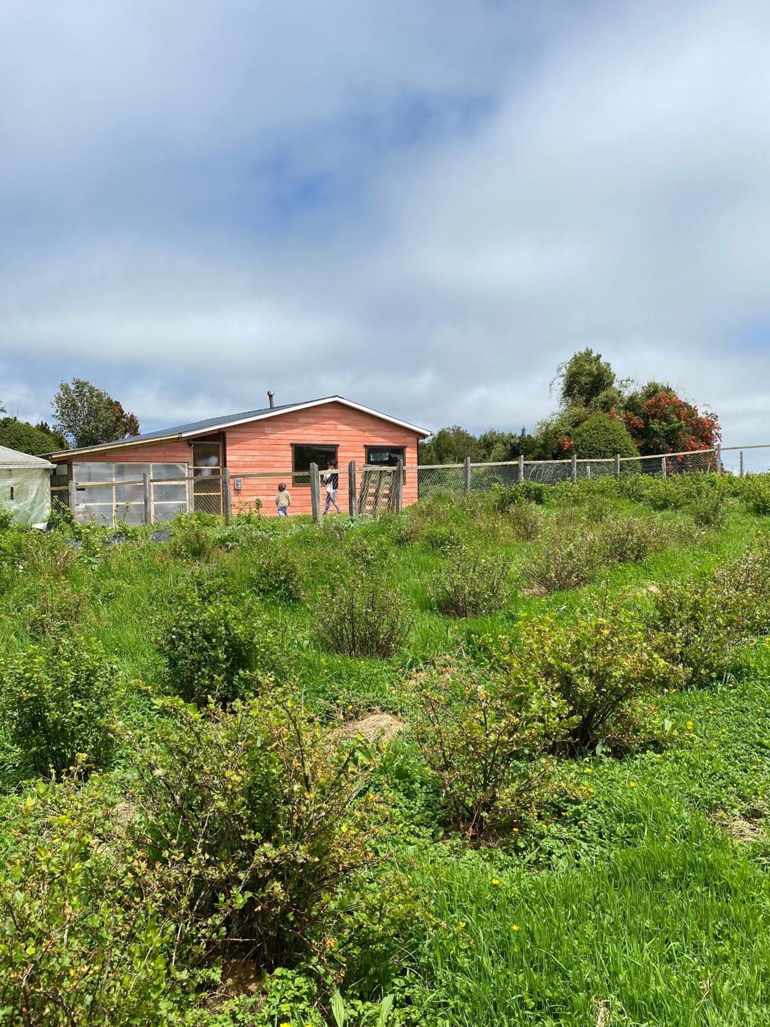 Cabana Nueva En Ancud Chiloe Szoba fotó
